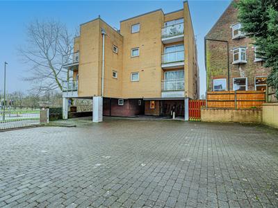 Picture 26